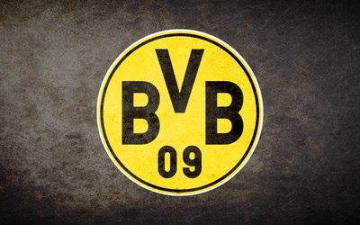 米兰电竞独家-凯特琳福特球鞋上的标语